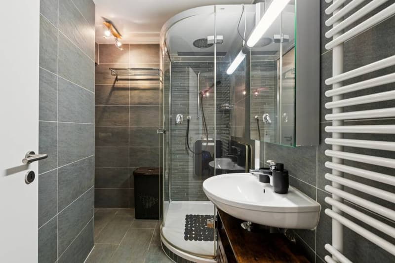 Architect's House in Chancy Exclusively (12)