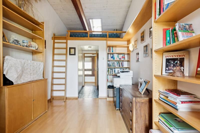 Architect's House in Chancy Exclusively (11)
