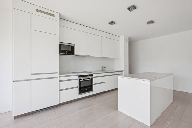 Grande cuisine moderne, entièrement équipée et avec îlot central