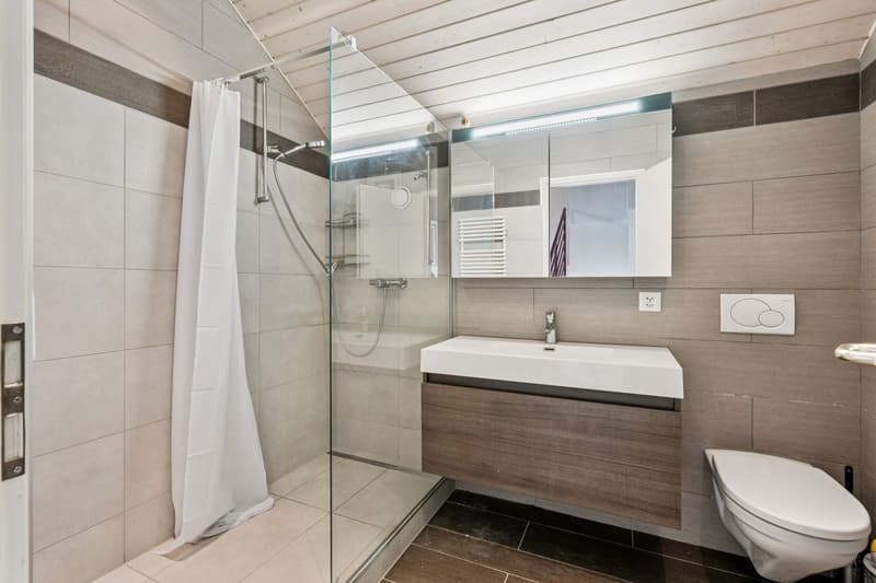 En exclusivité ! Duplex de charme en campagne genevoise (11)