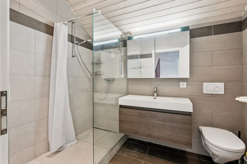 En exclusivité ! Duplex de charme en campagne genevoise (11)