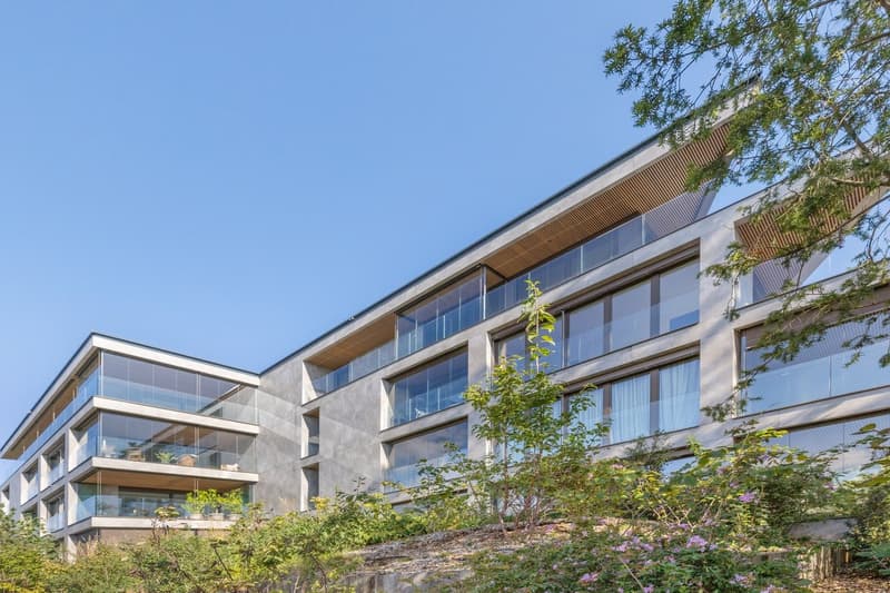 Appartement attique neuf au coeur de Vésenaz (5)