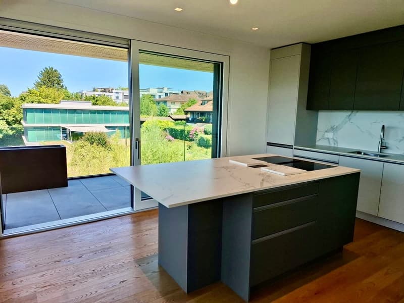 Appartement attique neuf au coeur de Vésenaz (8)