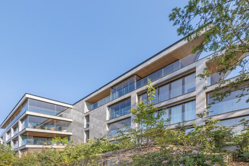 Appartement attique neuf au coeur de Vésenaz (4)