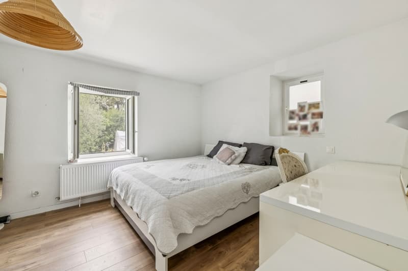 Einfamilienhaus mit Garten und unabhängiger Wohnung in Vernier (7)