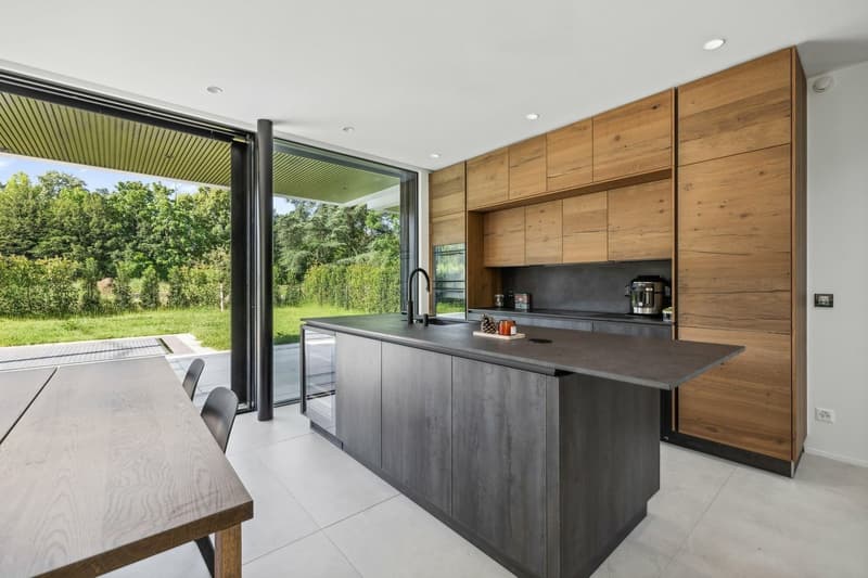 Exceptional THPE villa with pool in Chêne-Bougeries (8)