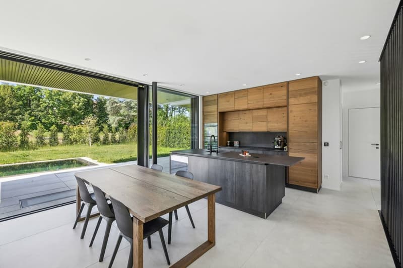 Exceptional THPE villa with pool in Chêne-Bougeries (7)