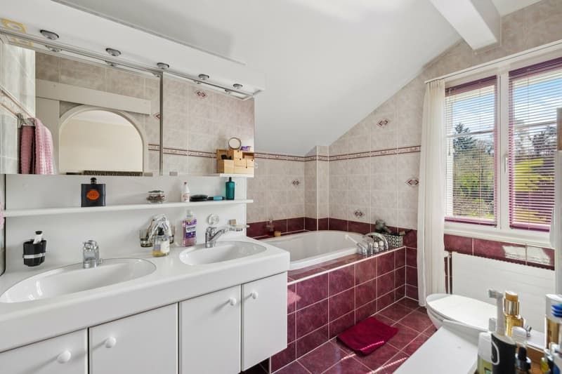 Charming individual villa (12)