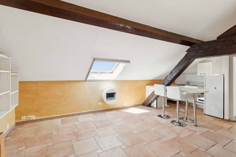 Appartement de charme en duplex avec jardin privatif (4)