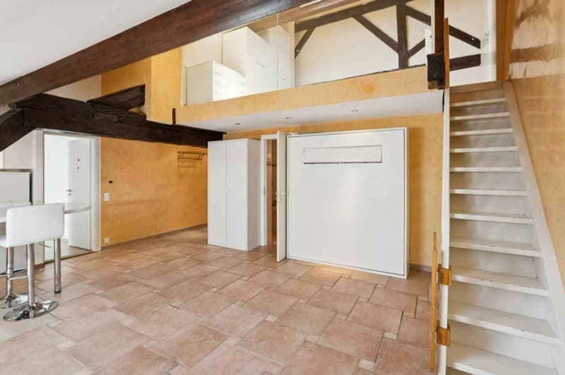 Appartement de charme en duplex avec jardin privatif (5)
