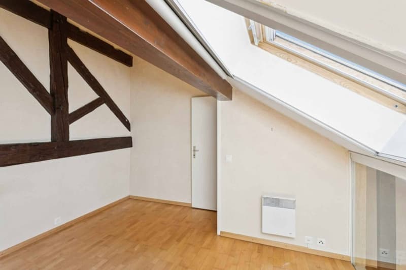 Appartement de charme en duplex avec jardin privatif (7)