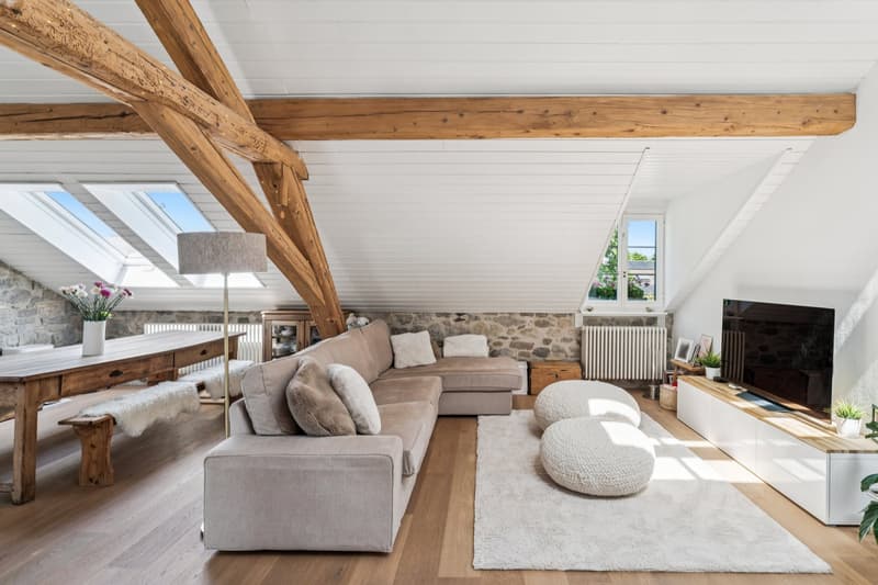 Une perle rare au coeur du village de Puplinge (1)