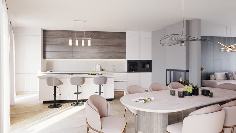Projet de 3 belles et grandes villas HPE (2)