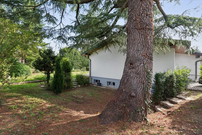 Villa de plain-pied avec jardin à rénover (3)