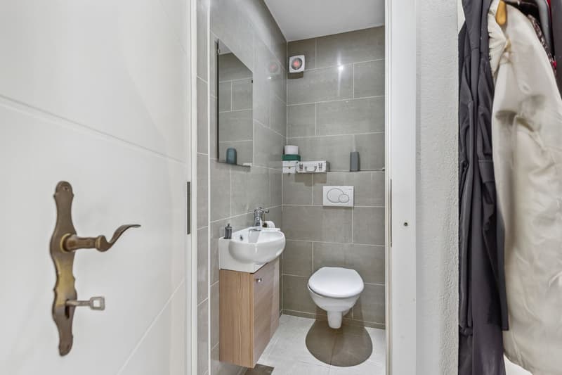 Charming 4.5-room apartment just a stone's throw from Lake Geneva (7)