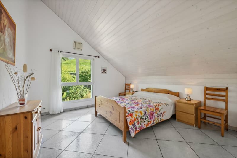 Magnifique Villa Einzelhaus in Montreux (6)