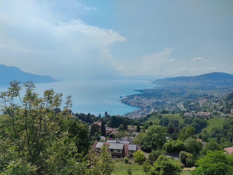 Parcelle avec permis en force et projet pour une villa individuelle (2)