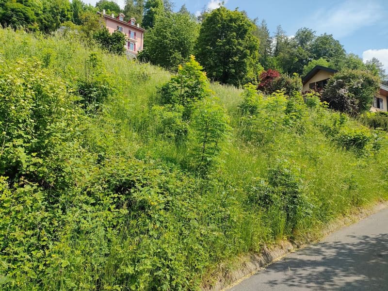 Parcelle avec permis en force et projet pour une villa individuelle (6)