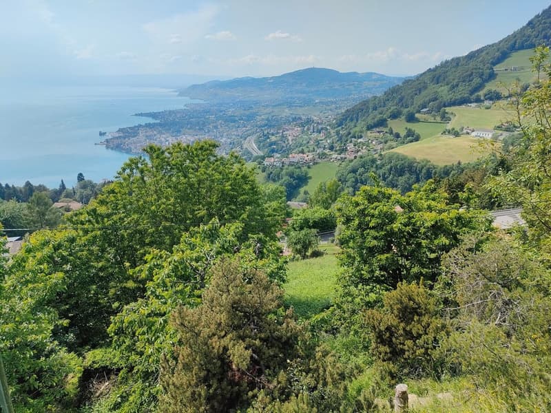 Parcelle avec permis en force et projet pour une villa individuelle (5)