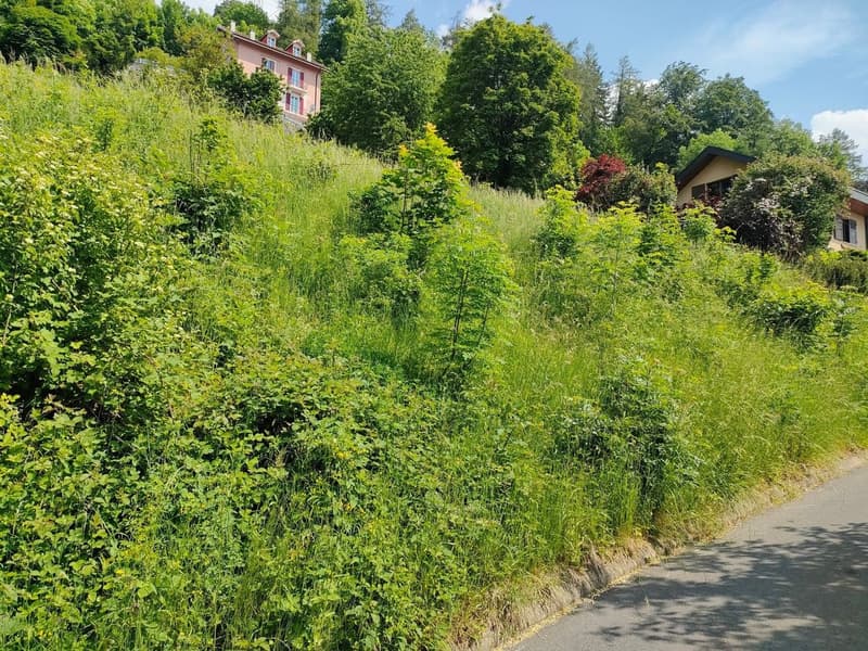 Parcelle avec permis en force et projet pour une villa individuelle (6)