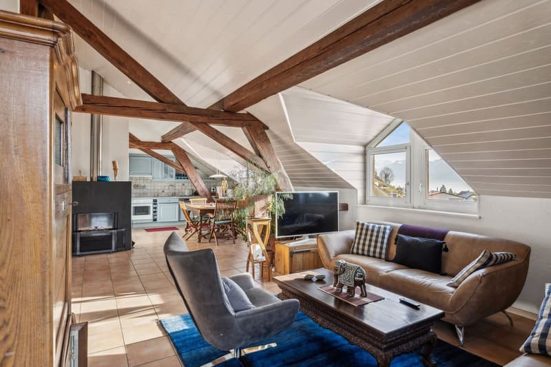 Charme et cachet pour ce joli appartement. A visiter ! (3)