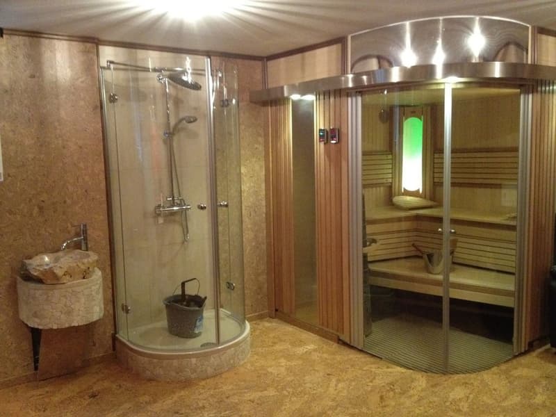 Appartement de 5.5 pièces avec vue lac et sauna privatif (12)