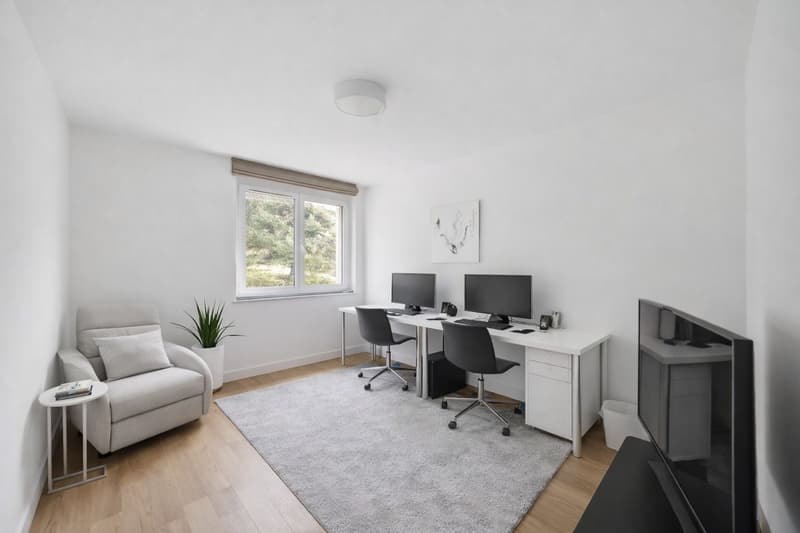 Apartment with 5.5 rooms, lake view and private sauna (3)