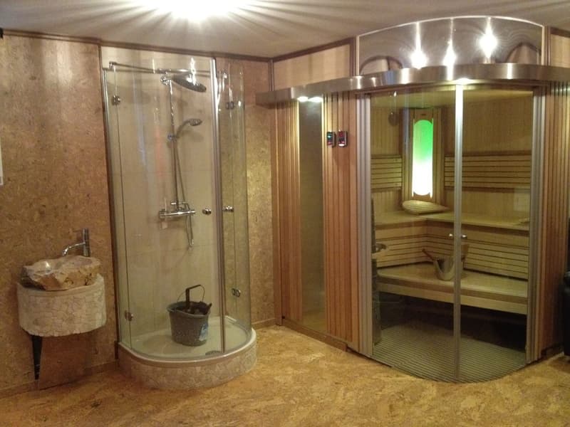 Apartment with 5.5 rooms, lake view and private sauna (9)