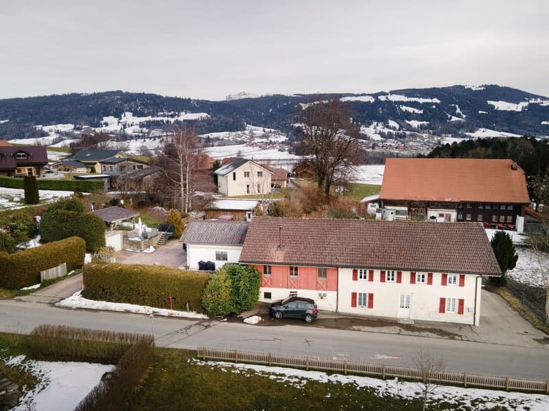 Ferme rénovée de deux appartements (10)