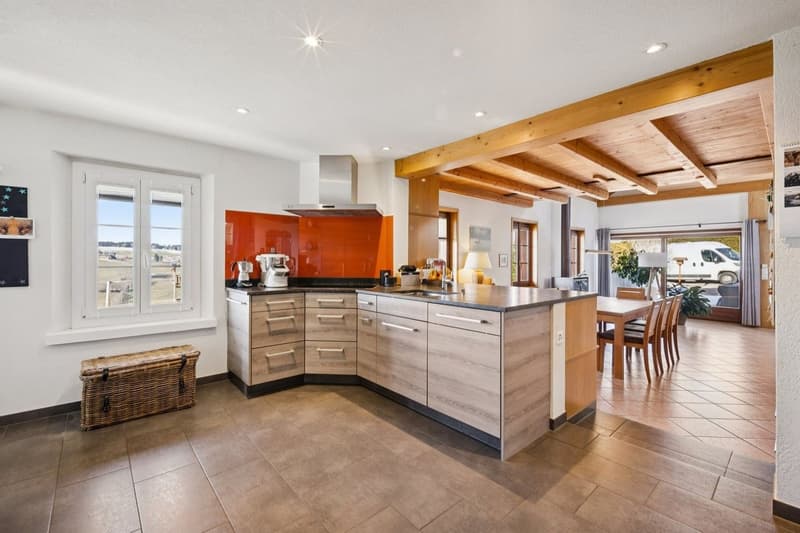 Ferme rénovée de deux appartements (4)