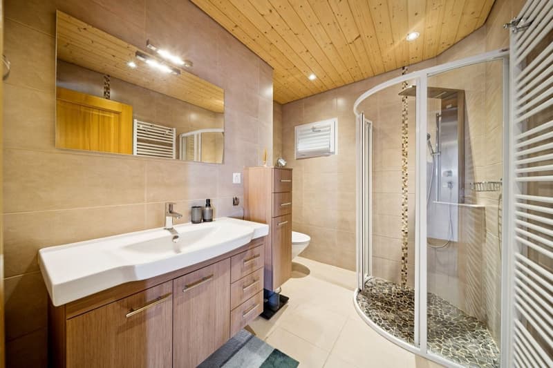 Ferme rénovée de deux appartements (6)