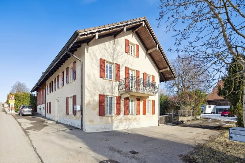 Ferme rénovée de deux appartements (9)