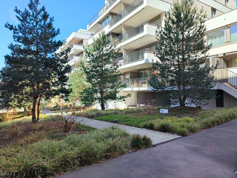 Appartamento recente con grande terrazza e balcone nel centro città (3)