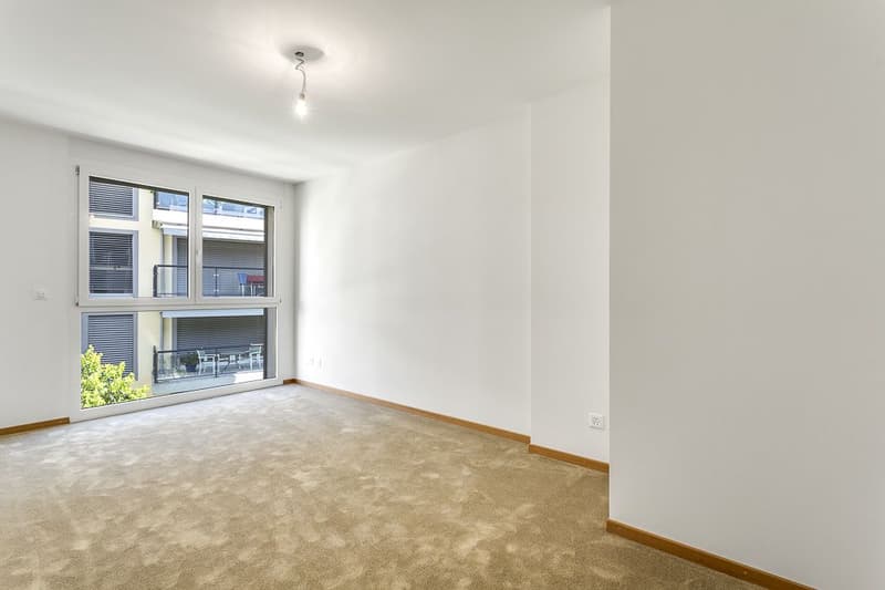 High-standard attic, ideal location in the city center (6)