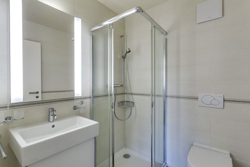 High-standard attic, ideal location in the city center (8)