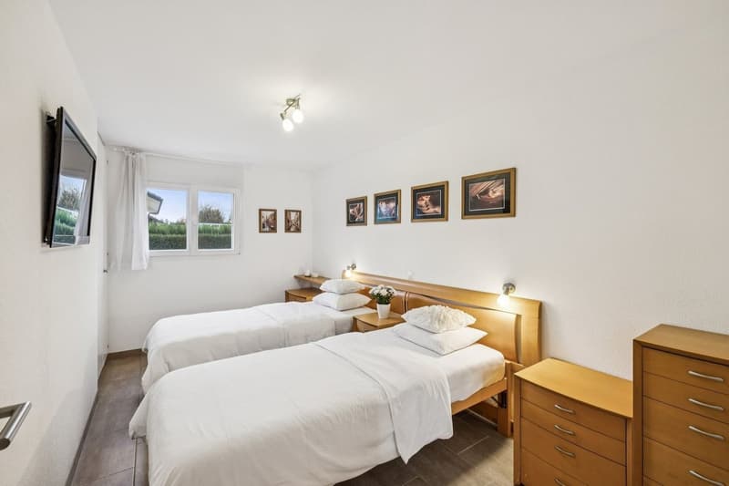 Magnifique villa individuelle, vue imprenable sur les Dents-du-Midi (6)