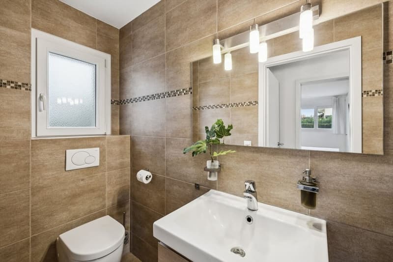 Magnifique villa individuelle, vue imprenable sur les Dents-du-Midi (7)
