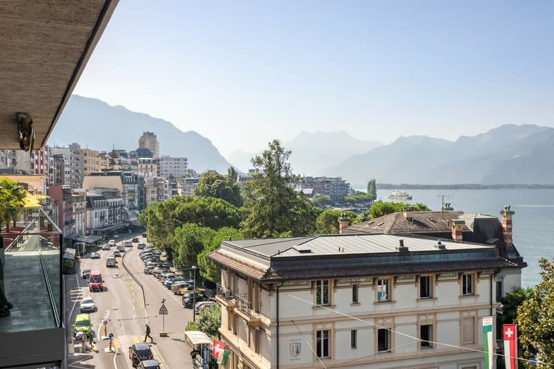 PRESTATIONS HAUT DE GAMME au centre-ville, vue lac et montagnes (3)