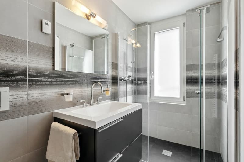 PRESTATIONS HAUT DE GAMME au centre-ville, vue lac et montagnes (12)