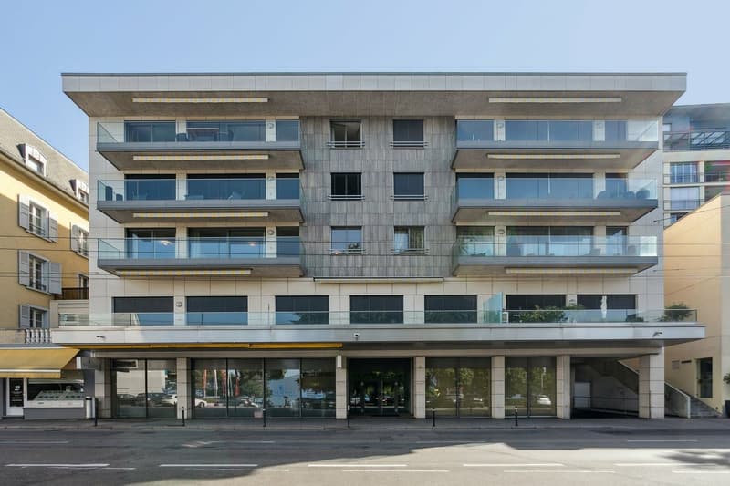 PRESTATIONS HAUT DE GAMME au centre-ville, vue lac et montagnes (13)