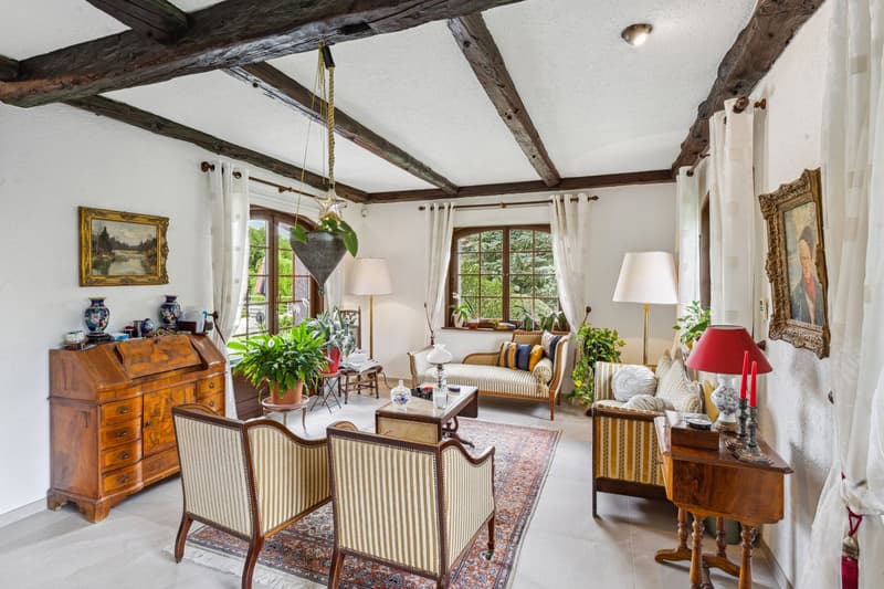 9-Room Master Property with Pool (7)