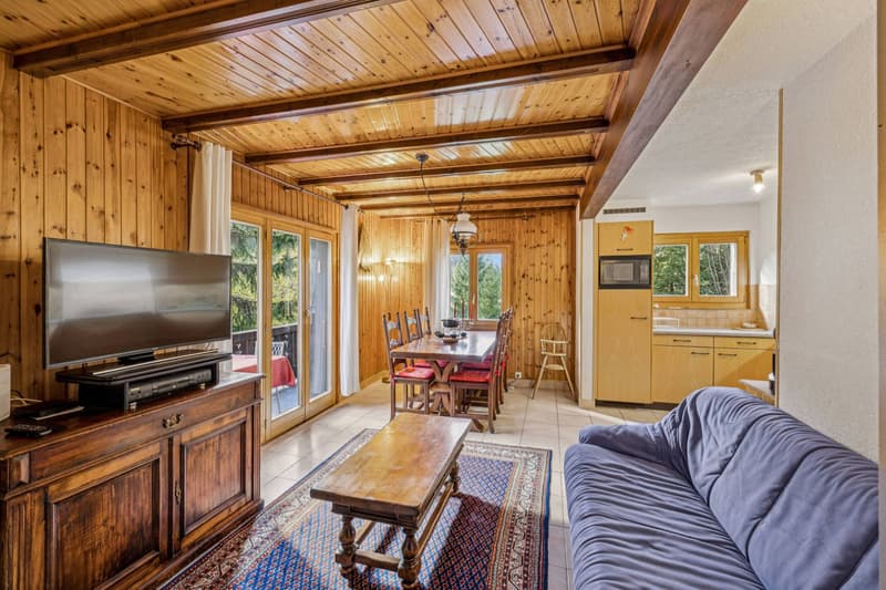 Cozy chalet with sauna, view and terrace - Portes du Soleil (4)
