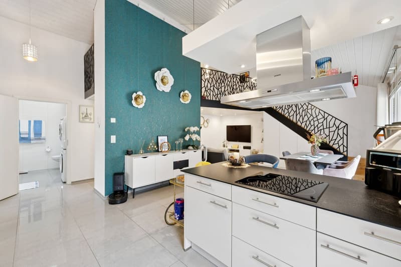 Attic 3.5 rooms comfortable - Large corner terrace and elevator (1)