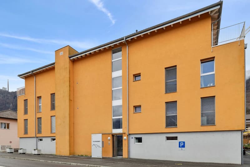 Attic 3.5 rooms comfortable - Large corner terrace and elevator (10)