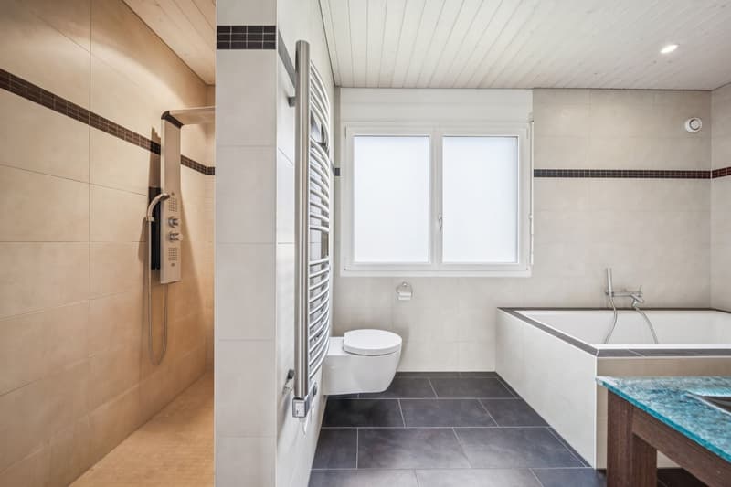 Family villa with 10 rooms - Minergie equivalent standard (10)