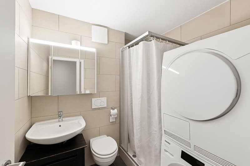5.5-room apartment with lake view (9)