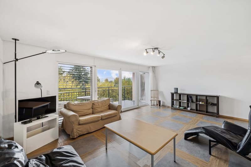 5.5-room apartment with lake view (3)