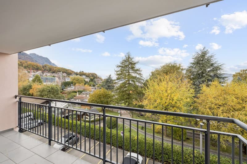 5.5-room apartment with lake view (13)