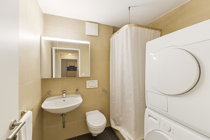 5.5-room apartment with a lake view (7)