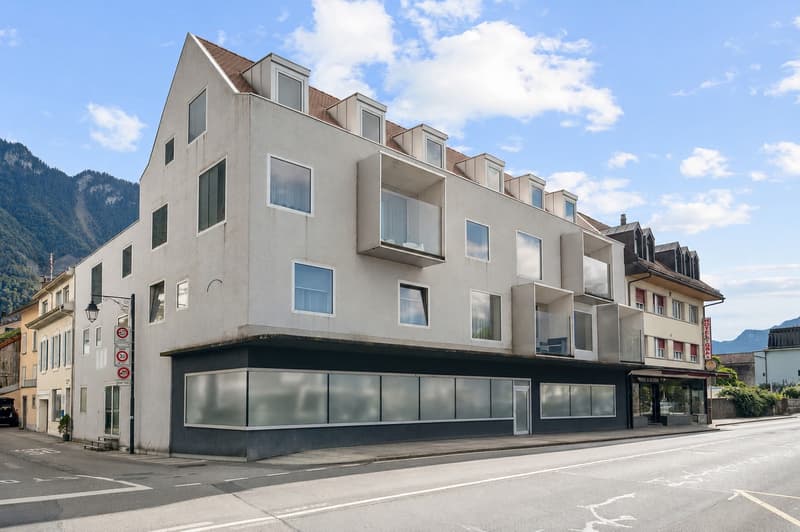 Appartement moderne en duplex au centre de Villeneuve (8)